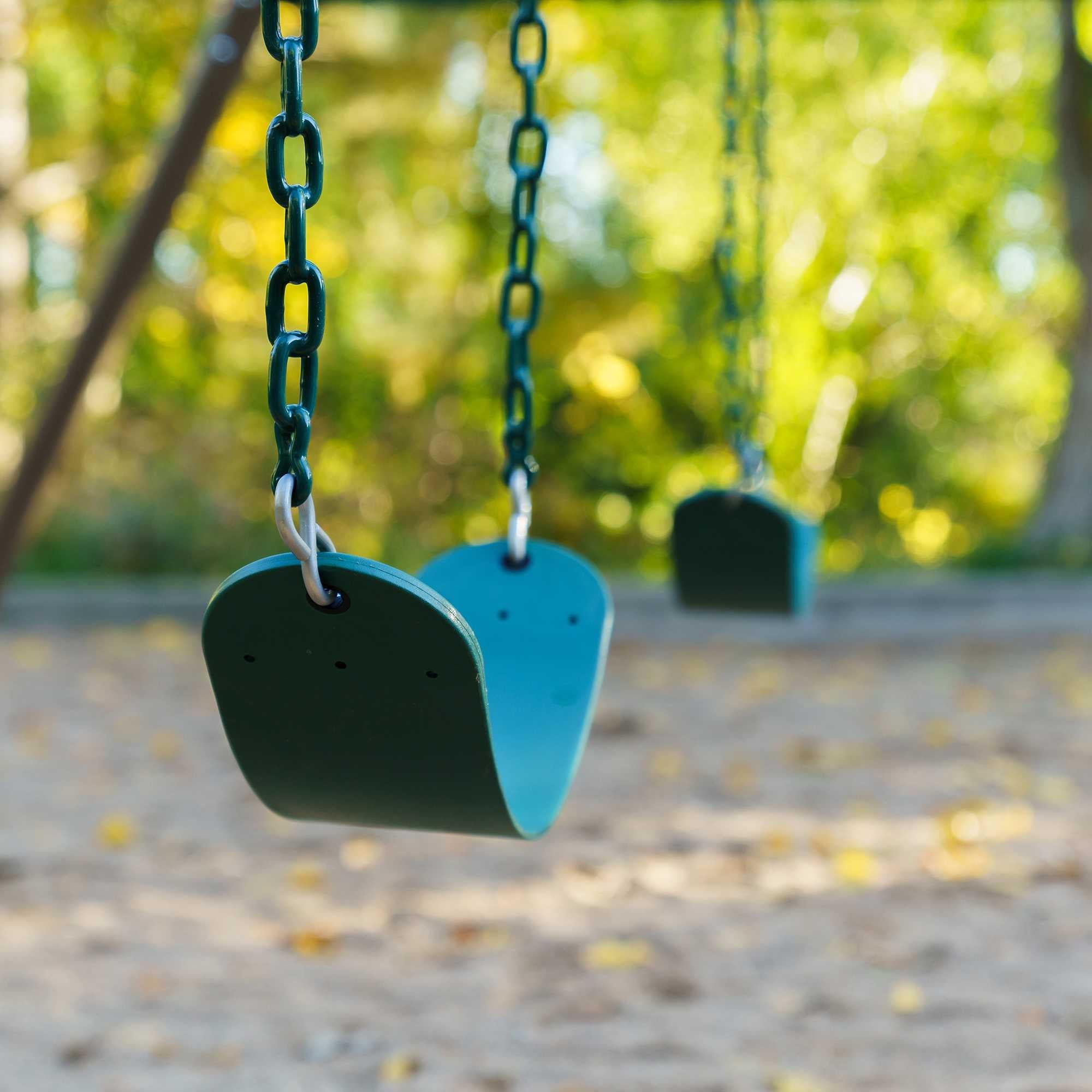 Lifetime Metal Swing Set (Earthtone) - 91137