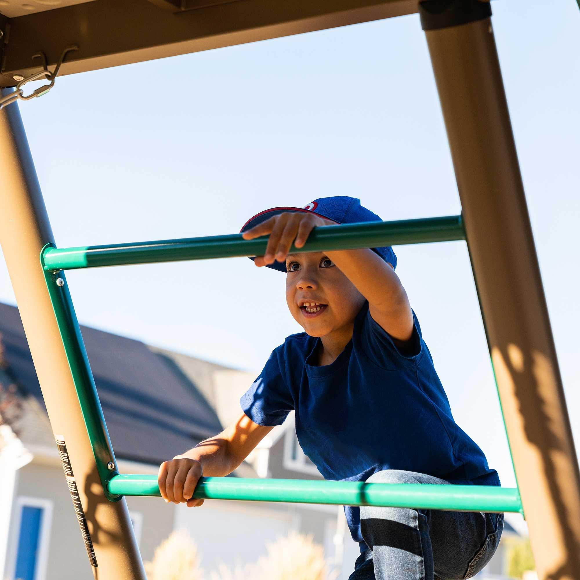 Lifetime Big Stuff Deluxe Swing Set Playset - Earthtone - 91080